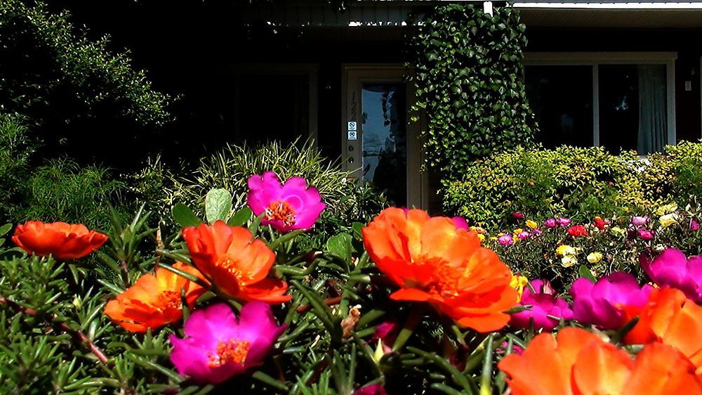 Murray Inn And Art Gallery Екстер'єр фото